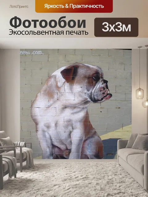 Фотообои Граффити