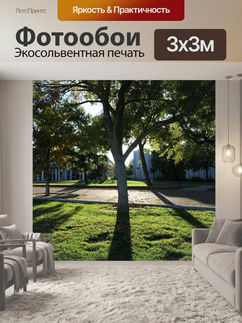 Фотообои Деревья