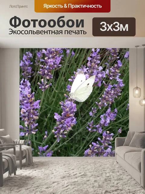 Фотообои Бабочка