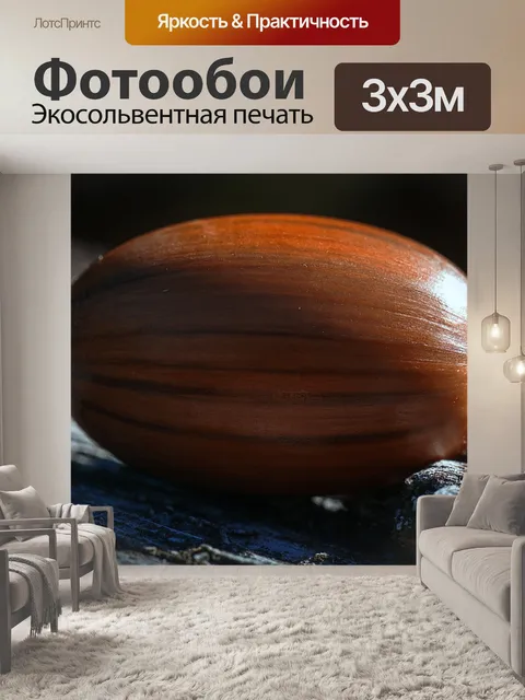 Фотообои Желудь