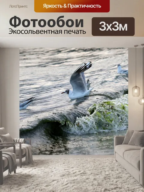 Фотообои Чайки