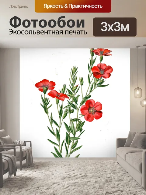 Фотообои Цветет цветы красная картина