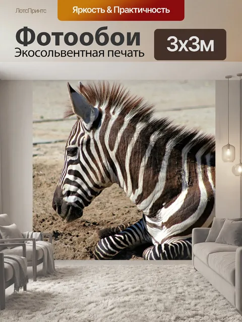 Фотообои Ребра