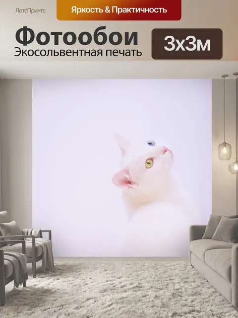 Фотообои Кошка