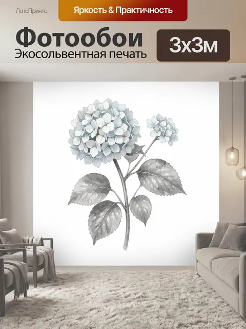 Фотообои Голубая гортензия на белом фоне