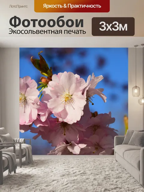 Фотообои Вишня в цвету