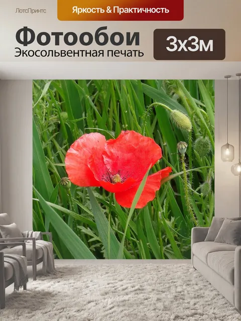 Фотообои Мак