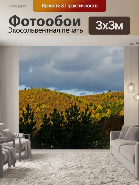 Фотообои Осенний лес