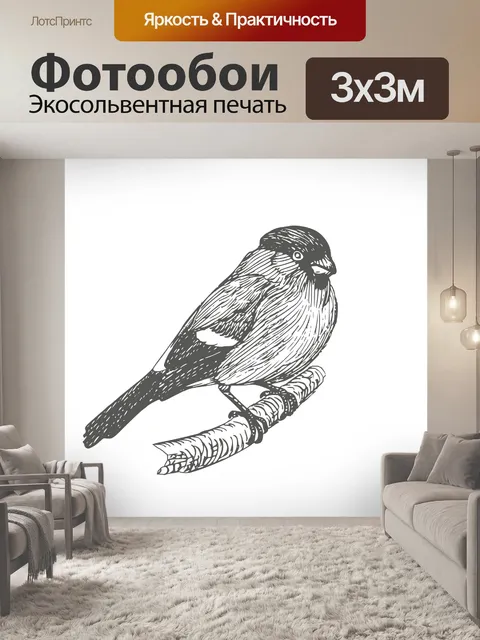 Фотообои Рисунок птицы снегирь Клипарт