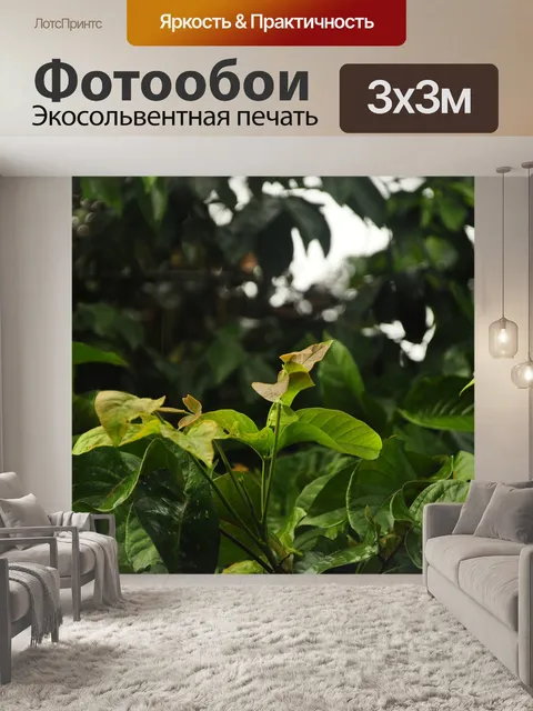 Фотообои Листья
