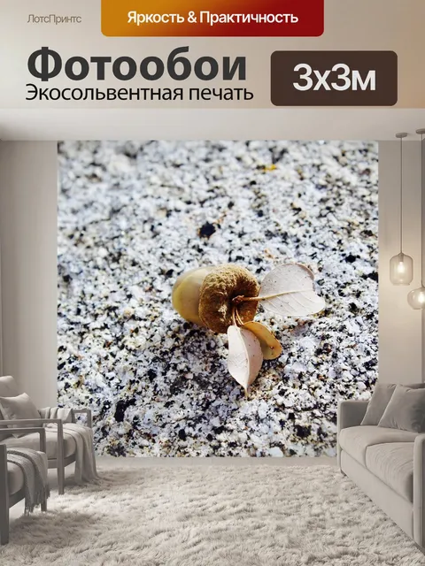 Фотообои Природа