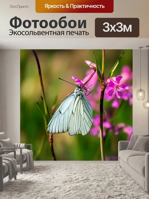 Фотообои Дерево белая бабочка