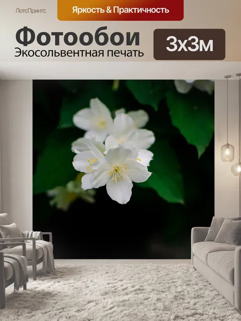 Фотообои Макро
