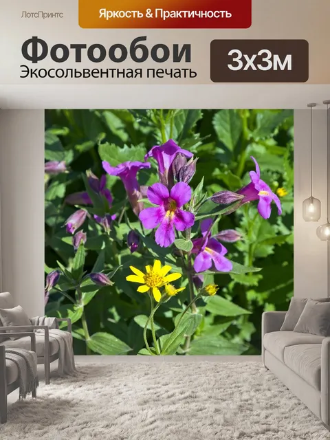 Фотообои Ледник альпийские полевые цветы