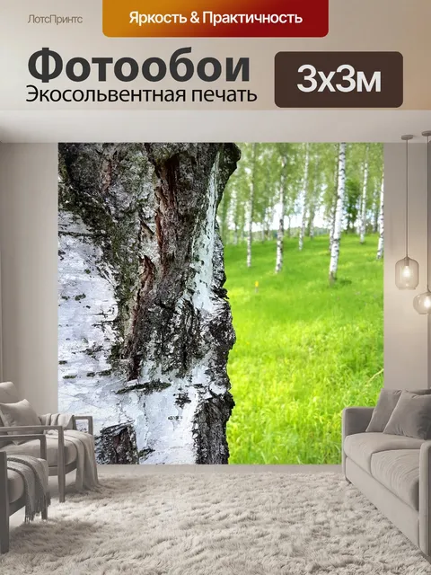 Фотообои Береза
