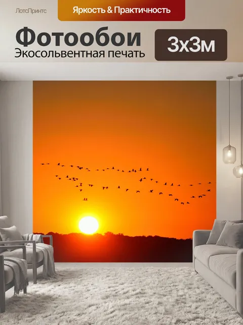 Фотообои Стая Эгретс на закате