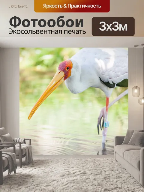 Фотообои Желтый аист
