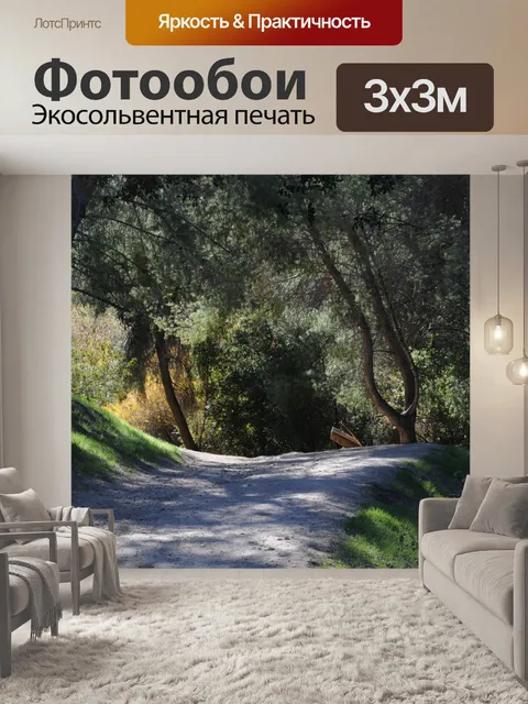 Фотообои Поперечный рычаг Дерево