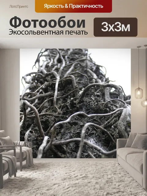 Фотообои Лоза