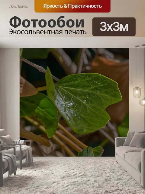 Фотообои Плющ