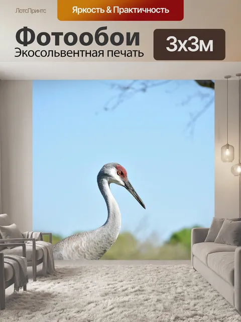 Фотообои Птицы