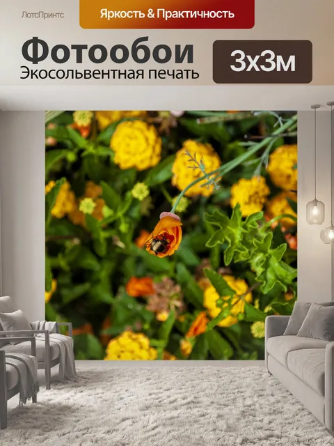 Фотообои Шмель в цвете мака