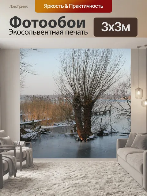 Фотообои Зима