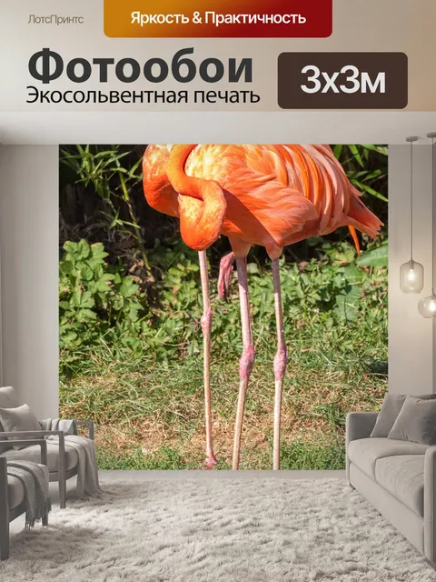 Фотообои Птица