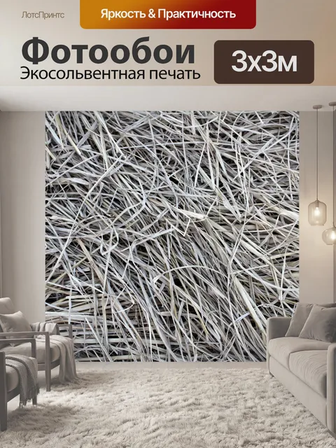 Фотообои Полевые цветы