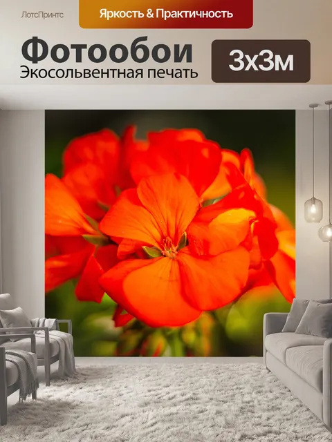 Фотообои Цветы