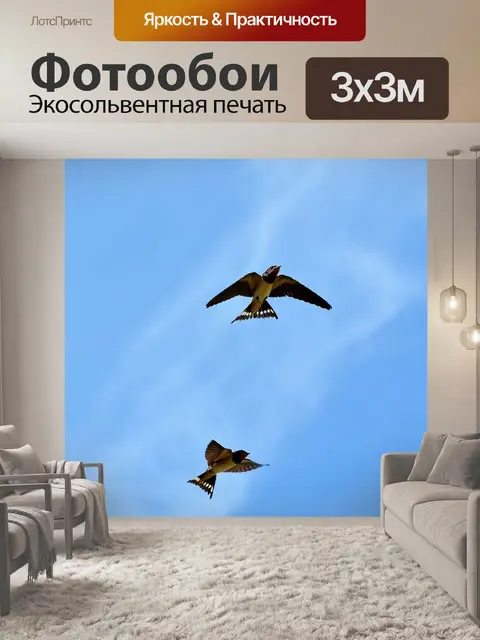 Фотообои Ласточки