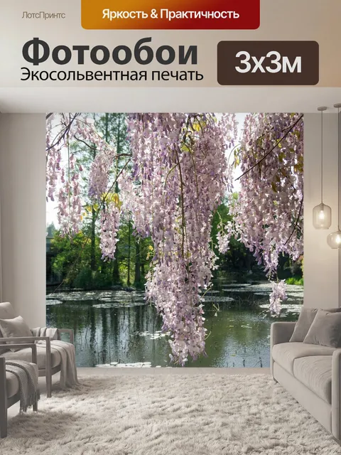 Фотообои Глициния роза