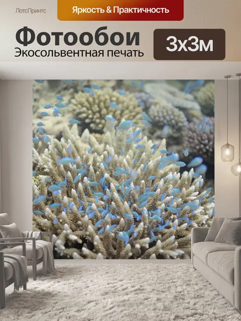 Фотообои Рыбы