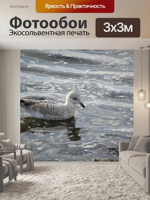 Фотообои Чайка и отражения