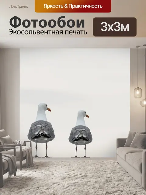 Фотообои Чайки