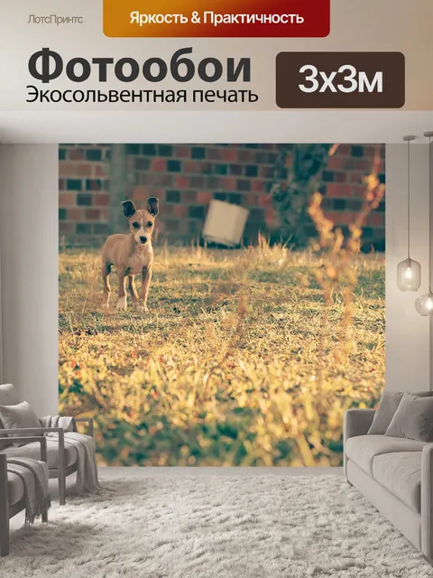 Фотообои Животное