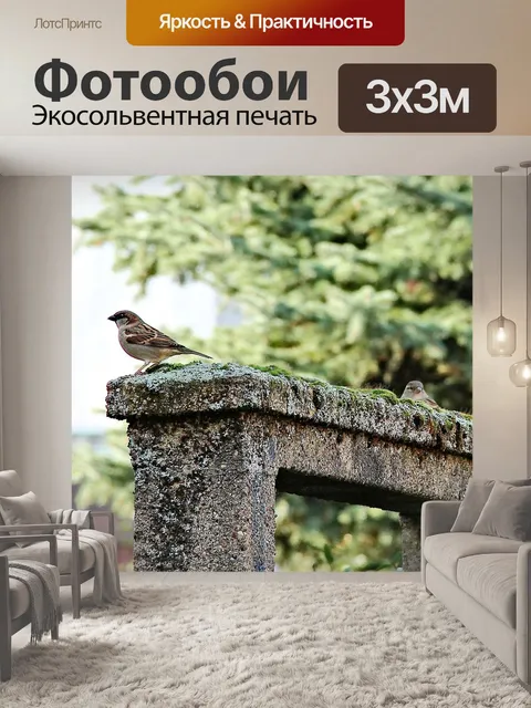Фотообои Птицы