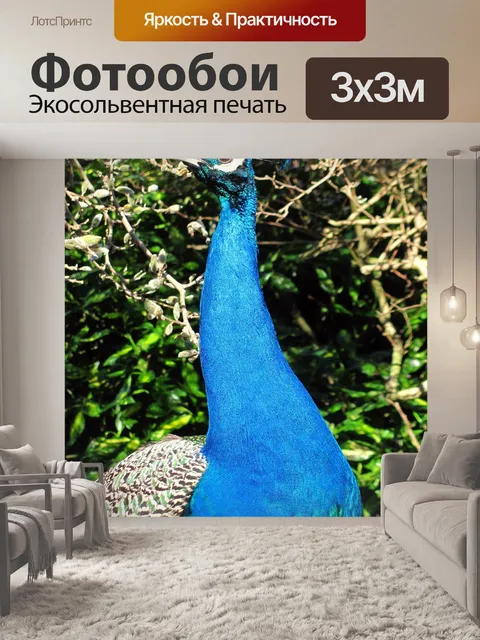 Фотообои Природа