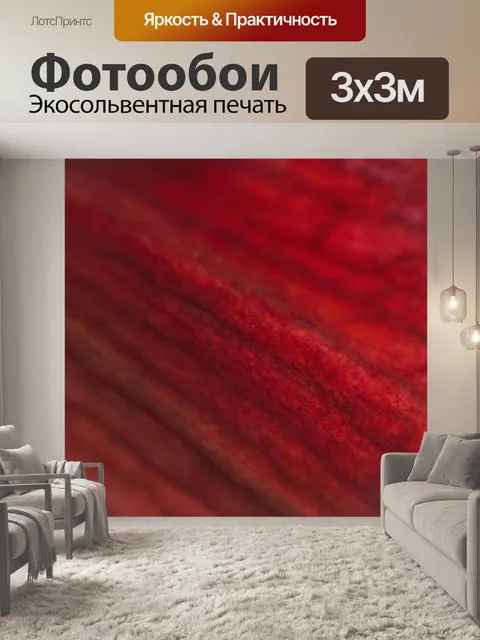 Фотообои Цветок
