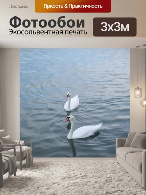 Фотообои Лебеди
