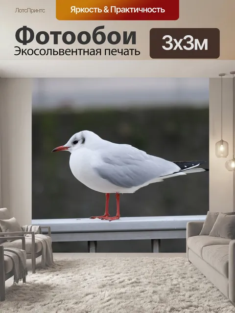 Фотообои Птица