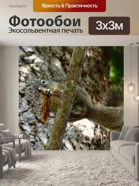 Фотообои Белка