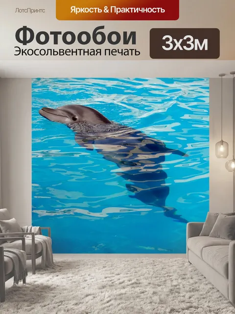 Фотообои Дельфин