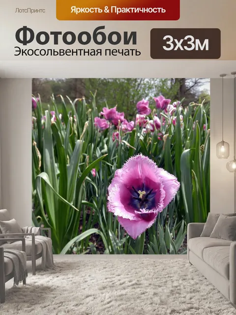 Фотообои Цветы