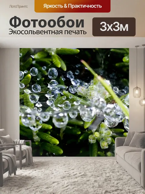 Фотообои Жемчужины воды
