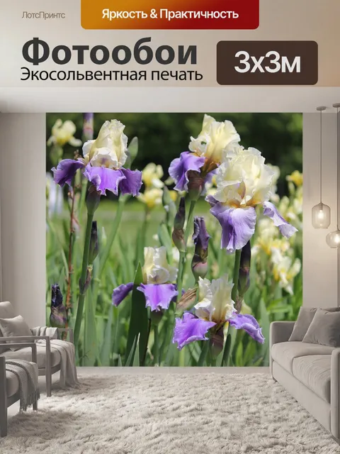 Фотообои Ирис