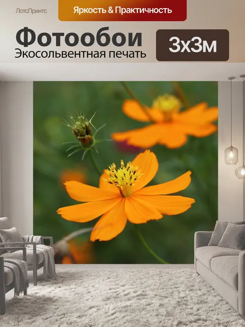 Фотообои Цветы