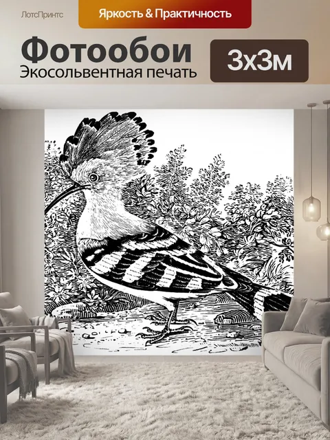 Фотообои Удод