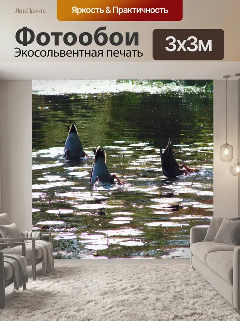 Фотообои Обломки Up?