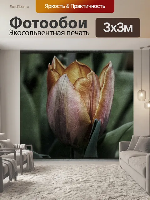 Фотообои Тюльпан